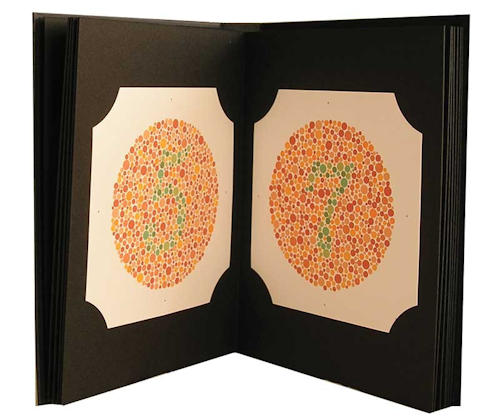 Ishihara Test Ishihara Test